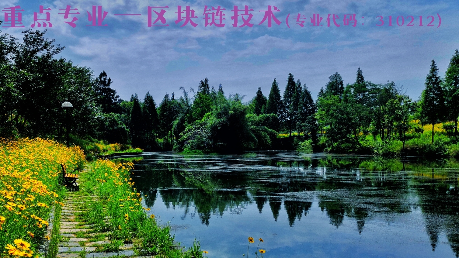 区块链专业简介